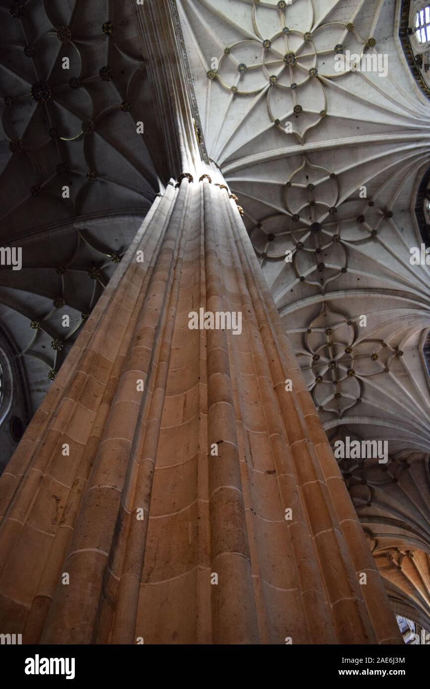 Suchen, um sich an der gewölbten Decken im Inneren der Kathedrale von Salamanca. Stockfoto