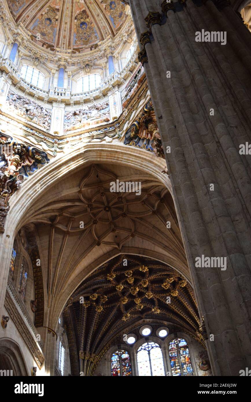 Suchen, um sich an der gewölbten Decken im Inneren der Kathedrale von Salamanca. Stockfoto