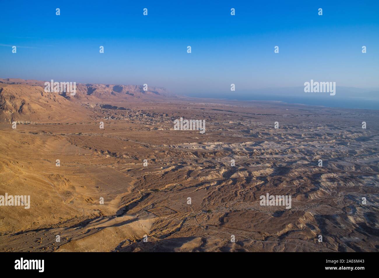 Die judäische Wüste und das tote Meer am Morgen Stockfoto