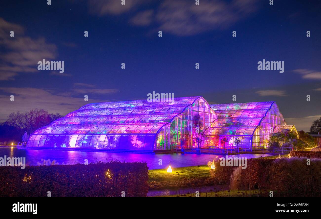 RHS Wisley, Surrey, Großbritannien. RHS Gärten Winter Glow 2019. 6. Dezember 2019. Bezaubernde Trail mit blendenden Licht Installationen im Stil der Vier Jahreszeiten alle bis in die Nacht während der Weihnachtszeit vom 7. Dezember 2019 - 5 Januar 2020 lit. Die ticket Ereignis hat im Vorfeld für Dezember verkauft. Credit: Malcolm Park/Alamy. Stockfoto