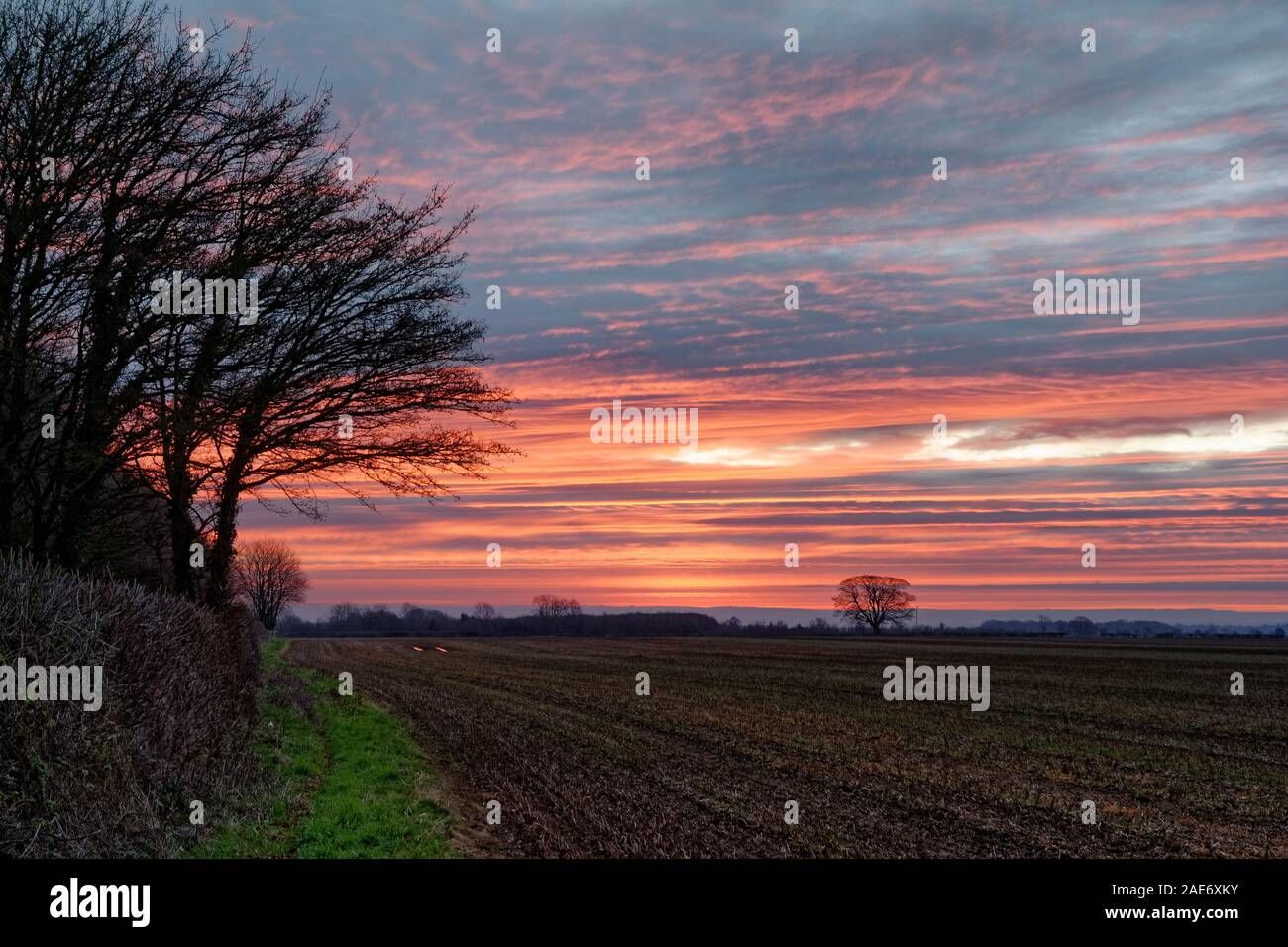 Cotswold Sonnenaufgang über Feldern über Dursley, Gloucestershire, Großbritannien Stockfoto