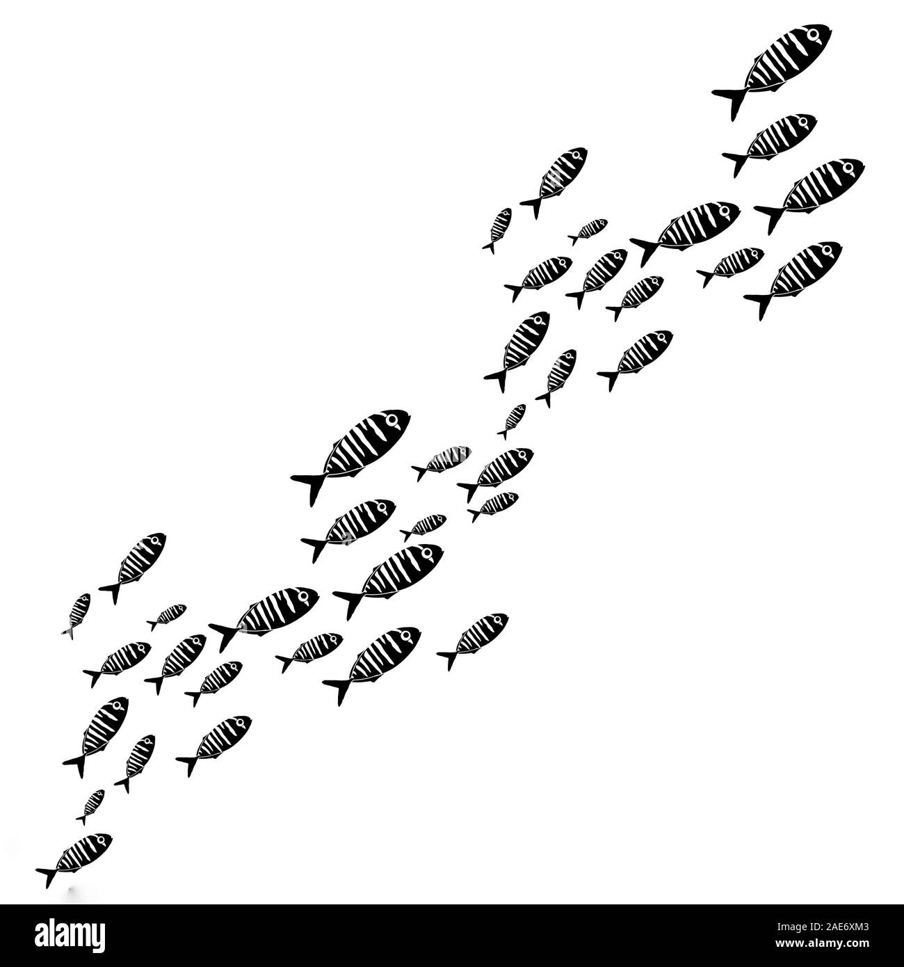 Silhouette der Gruppe von Meer Fische, kleine Tiere Unterwasser isoliert auf Weiss. Kleines Leben im Meer Muster. Umgebung der Ozeane und den Fluss. Stockfoto