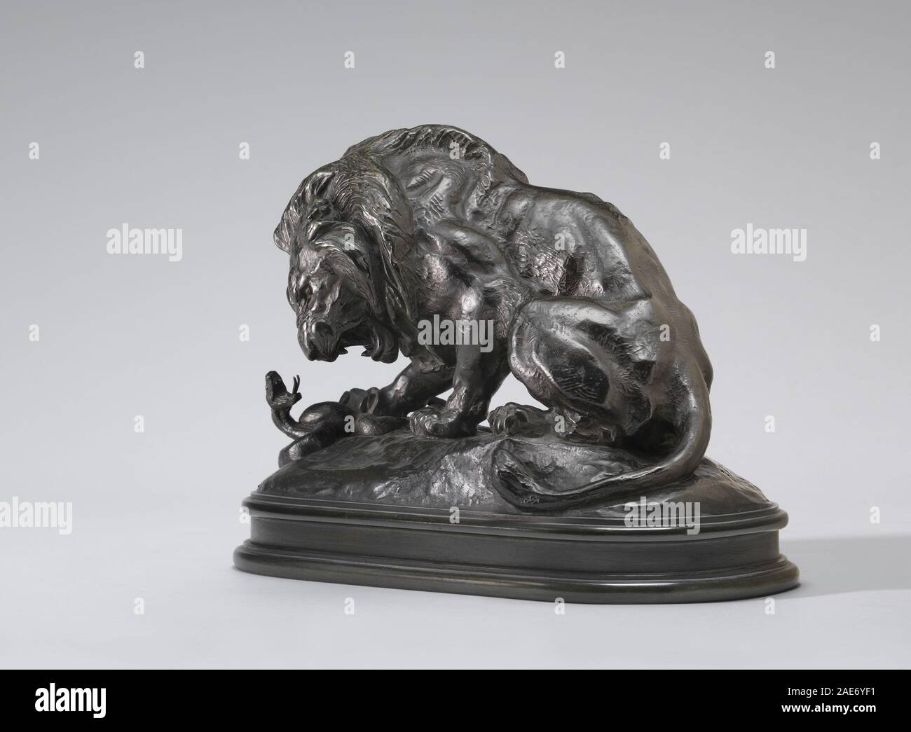 Louis the lion -Fotos und -Bildmaterial in hoher Auflösung - Alamy