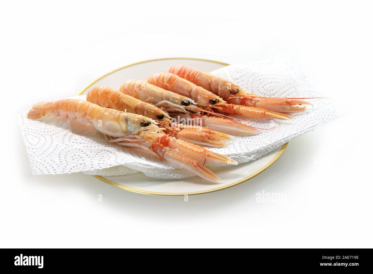 Mehrere frische Scampi auch genannt Kaisergranat oder Langustinen für Vorbereitung, teure Meeresfrüchte auf ein Papiertuch auf einer Platte, weißer Hintergrund Stockfoto