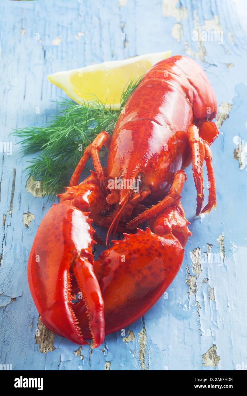 Red Lobster auf einem blauen Hintergrund aus Holz Stockfoto