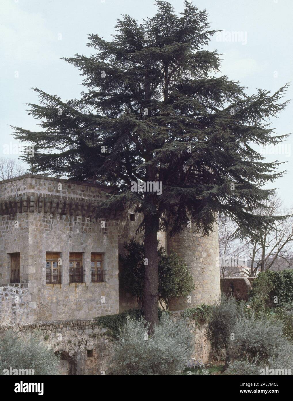 CASTILLO DE LOS CONDES DE OROPESA FINALES PRINCIPIOS S XIV-XV. Lage: PALACIO CASTILLO DE LOS CONDES DE OROPESA. Jarandilla de la Vera. CACERES. Spanien. Stockfoto
