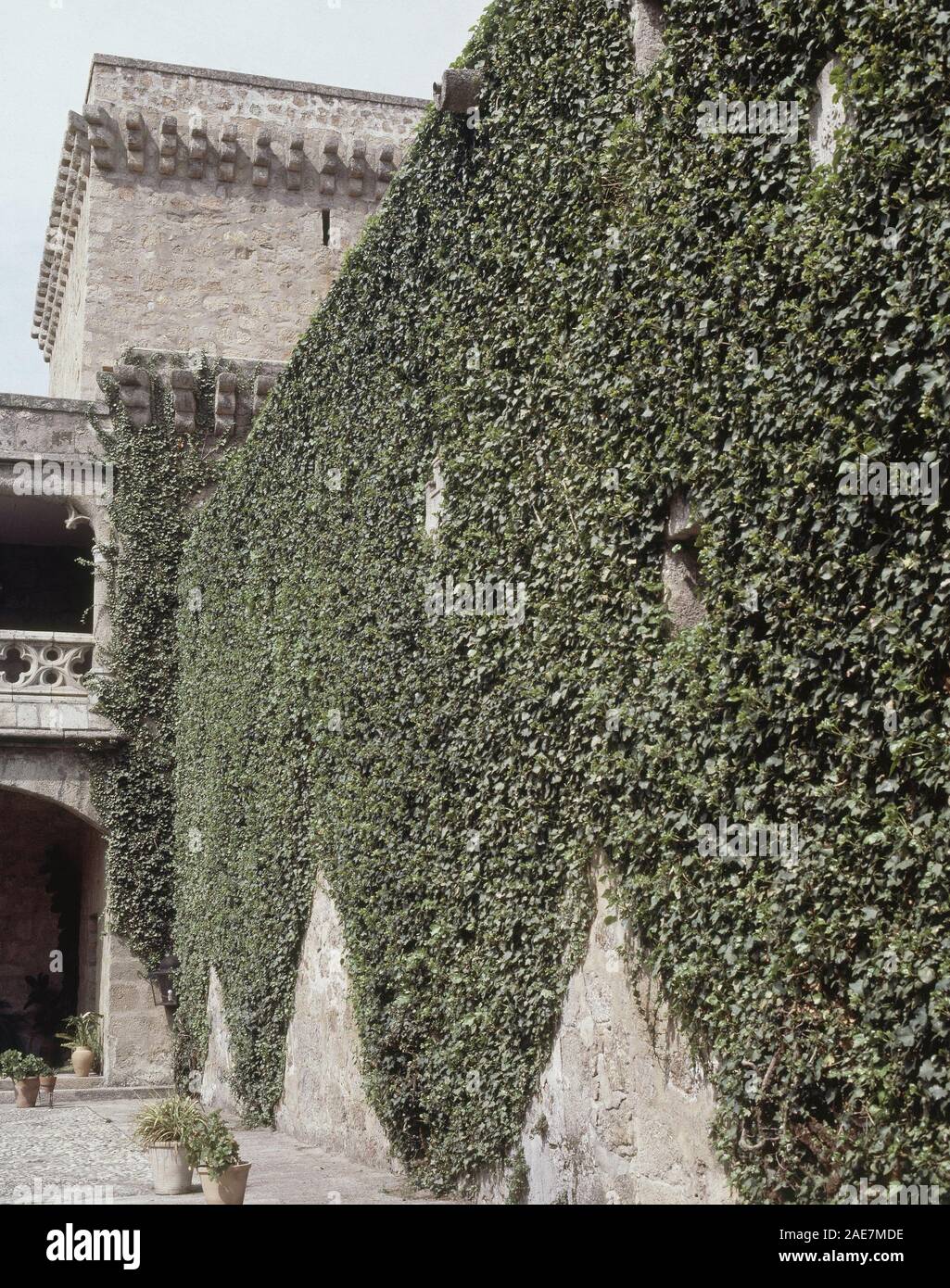 CASTILLO DE LOS CONDES DE OROPESA - HIEDRA EN LA PARED Y TORRE CUADRADA. Lage: PALACIO CASTILLO DE LOS CONDES DE OROPESA. Jarandilla de la Vera. CACERES. Spanien. Stockfoto