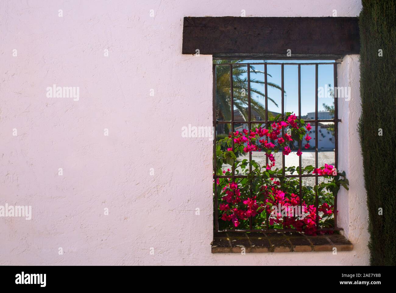 Traditionelle andalusische Architektur mit weiß getünchten Wänden und Fenstern voller Blumen. Fuente Palmera, Cordoba, Spanien Stockfoto