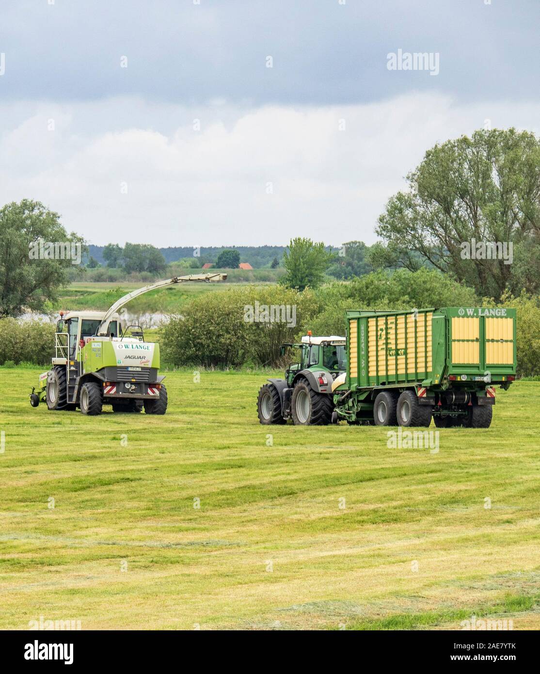 Claas Jaguar 870 Harvester-Ladeanhänger von Fendt Traktor auf einem Feld in Niedersachsen Deutschland gezogen. Stockfoto