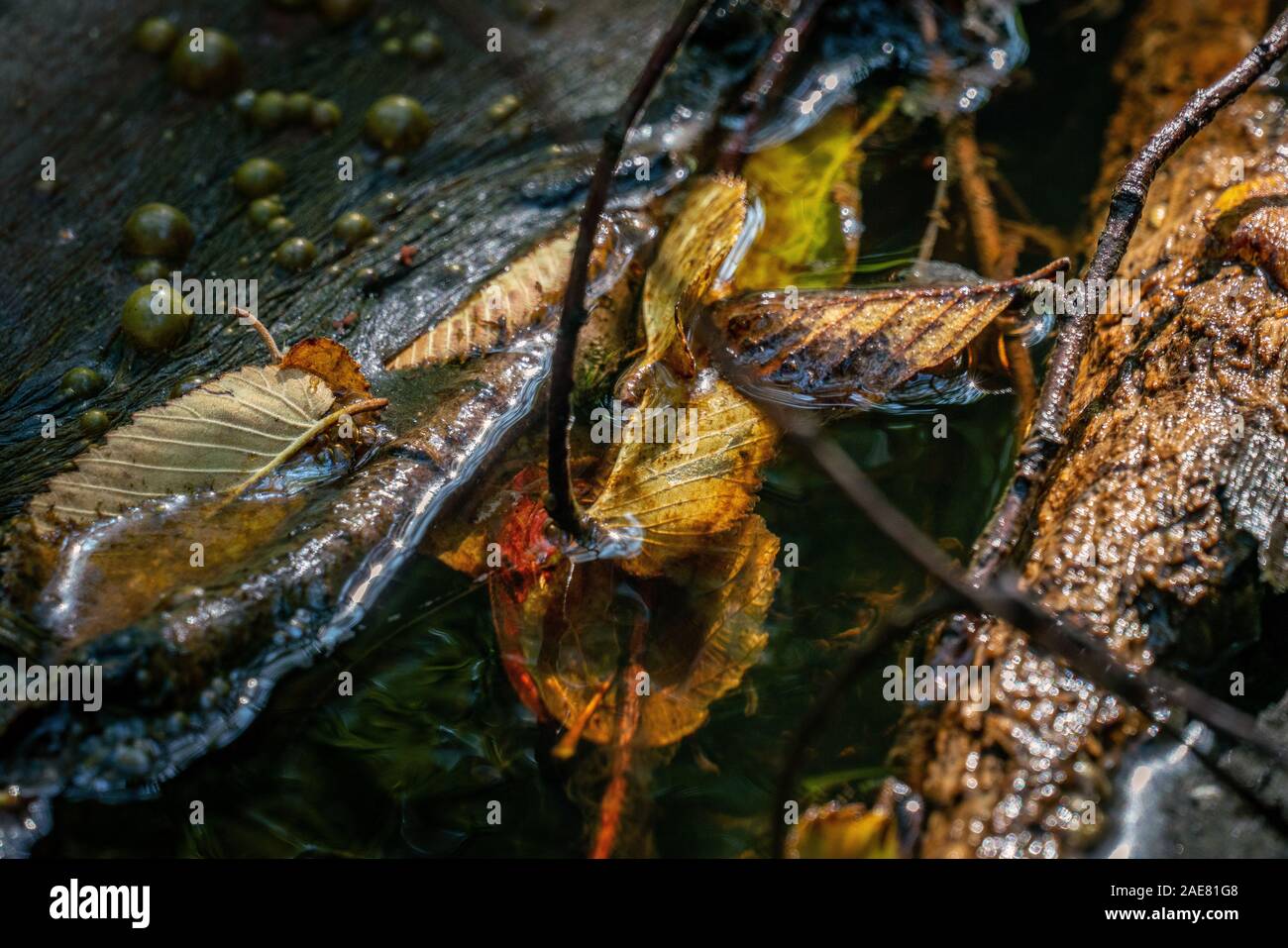 Gas wasser strom Fotos und Bildmaterial in hoher Auflösung Alamy