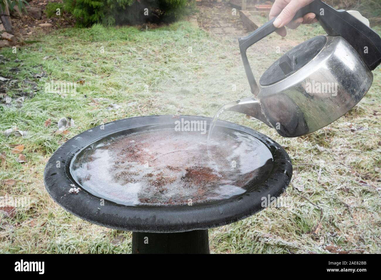 Tauende Eis in einem Garten Vogelbad mit kochendem Wasser aus einem Wasserkocher an einem frostigen Wintermorgen Stockfoto