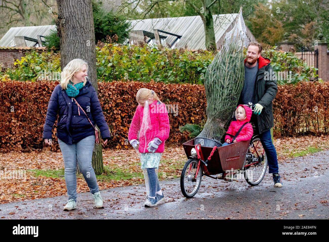 Voorschoten, Niederlande. 07 Dez, 2019. VOORSCHOTEN, Landgoed Duivenvoorde, 07-12-2019, Je frischer Sie Ihren Weihnachtsbaum, je länger ihr Weihnachtsbaum schön bleibt. Und was könnte frischer sein als Sägen, Schneiden oder graben Sie Ihren eigenen Weihnachtsbaum? Heutzutage kann man in immer mehr Orten in der Geist der Weihnacht, indem Sie Ihren eigenen Weihnachtsbaum und durch Sägen erhalten können. Es ist nicht nur eine Spaß-Familie Outing, aber sie geben auch die Natur eine helfende Hand. Credit: Pro Schüsse/Alamy leben Nachrichten Stockfoto