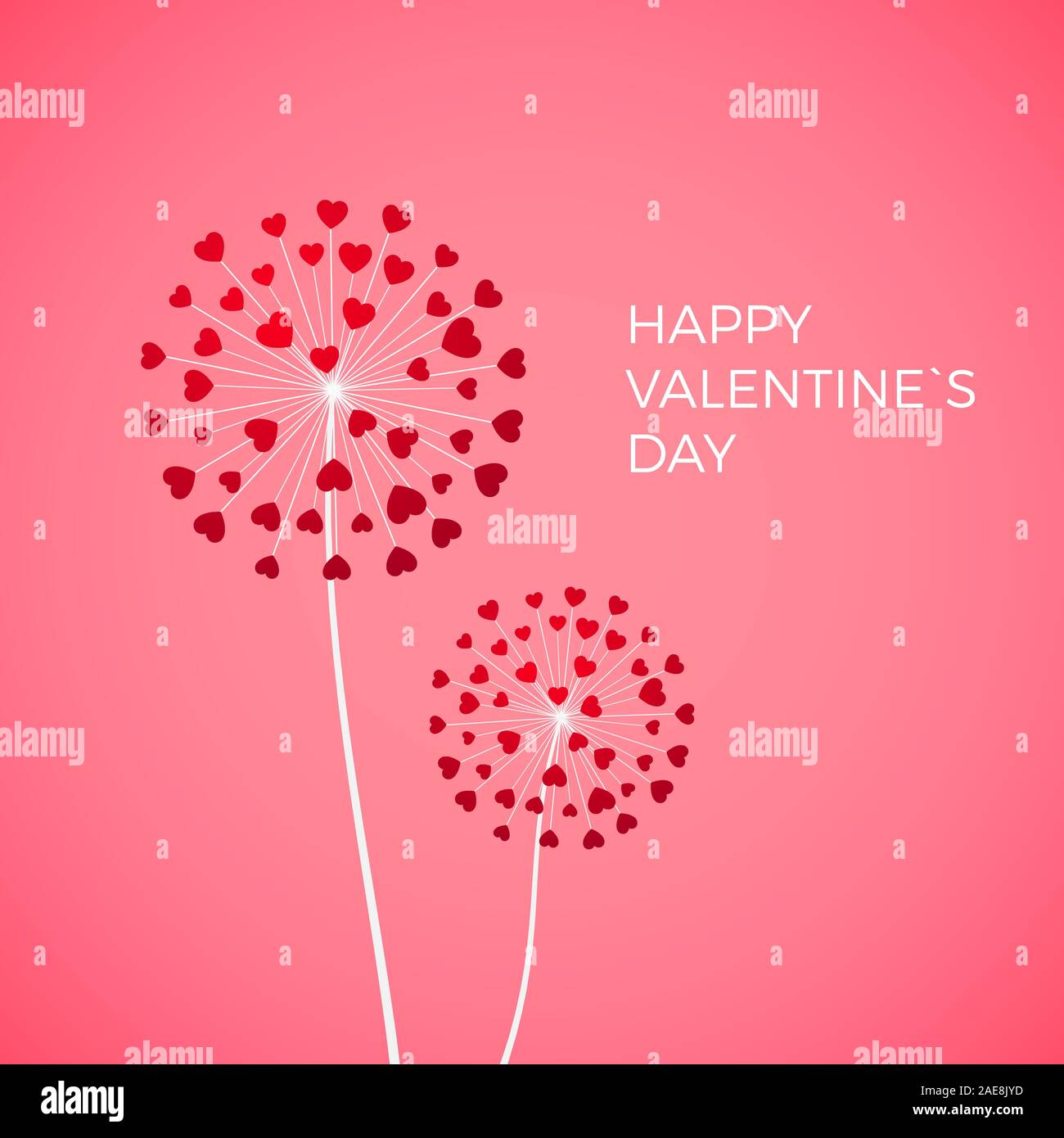 Paar Löwenzahn mit roten Herzen. Happy Valentinstag Grußkarten auf rosa Hintergrund. Weiß mit roten Herzen blowball Symbol der Liebe. Vektor Stock Vektor