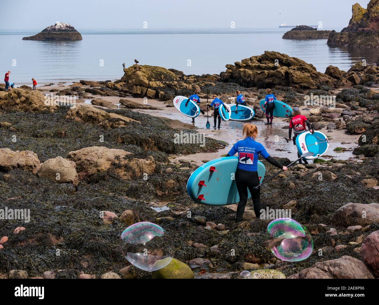 Von Küste zu Küste Surf School paddle Board Lektion, Dunbar, East Lothian, Schottland, Großbritannien Stockfoto