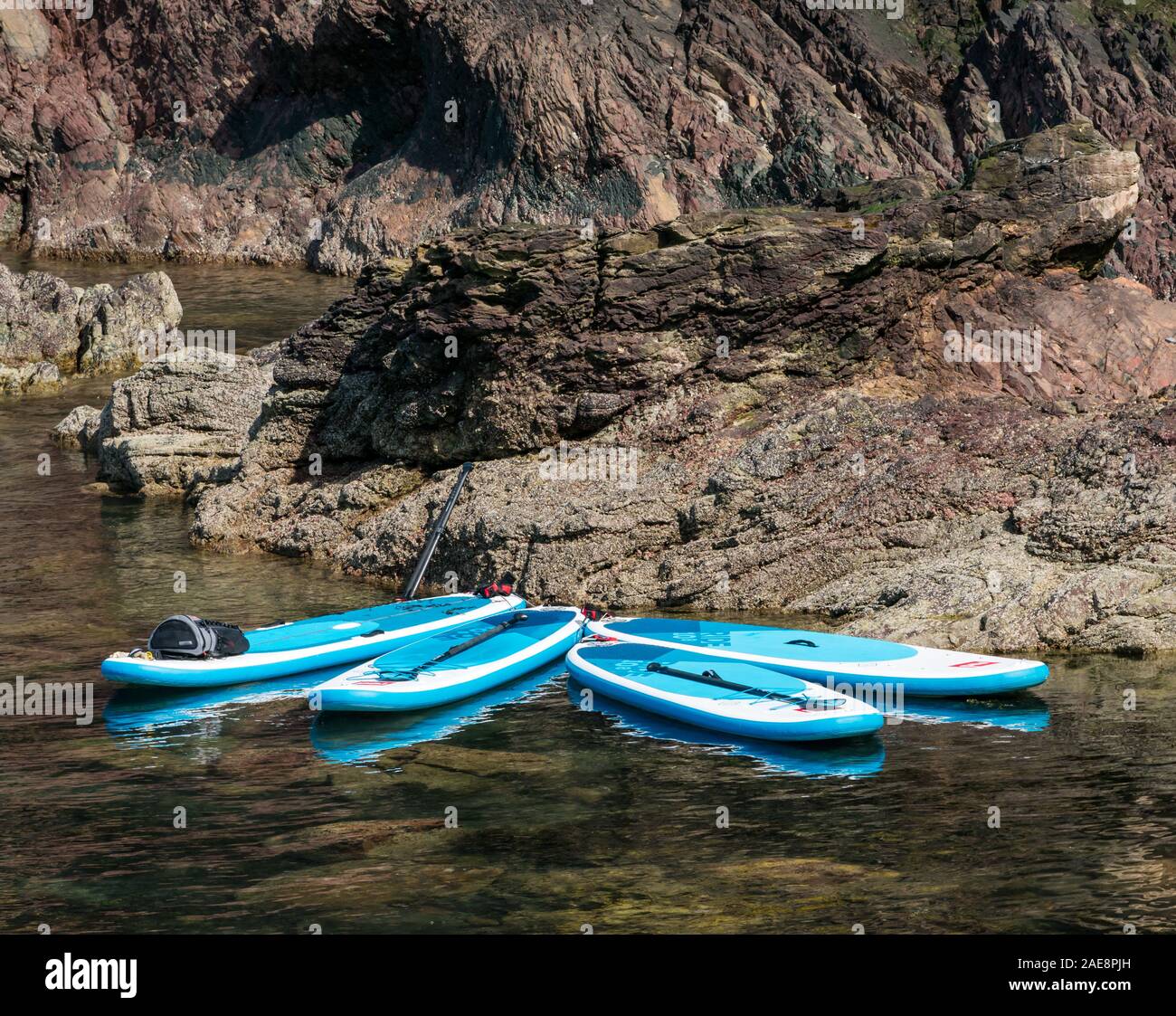Paddle Boards in Wasser am Ufer, Dunbar, East Lothian, Schottland, Großbritannien Stockfoto
