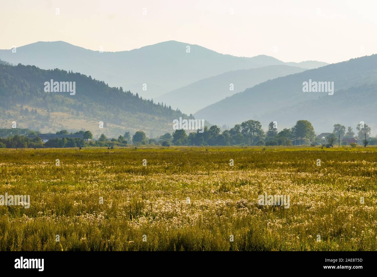 Berge Landschaft in den Karpaten, Ukraine Stockfoto