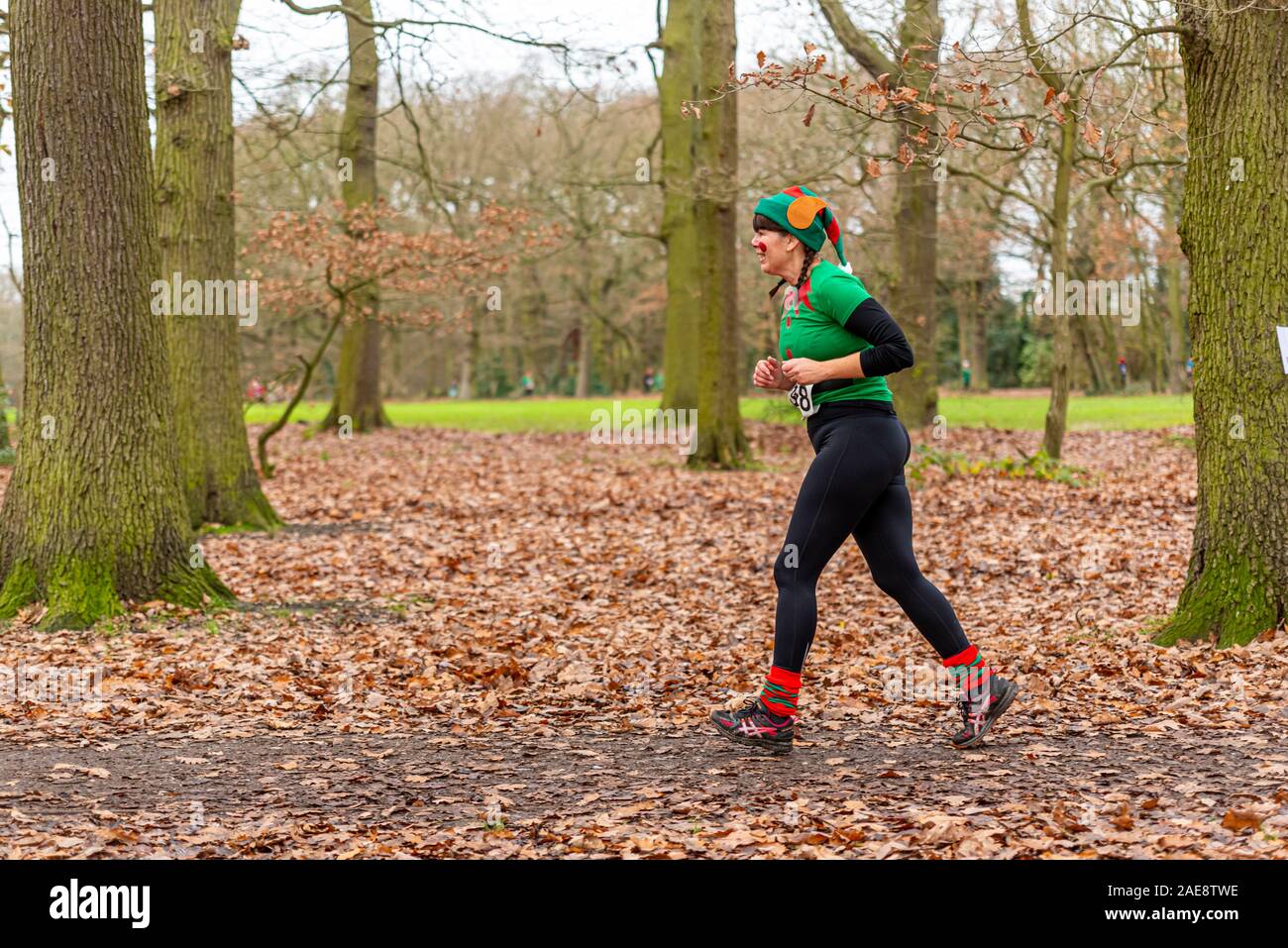 Mentale Elf Charity Run Fun Run für Süd Ost- und Essex Verstand - eine Nächstenliebe, die Förderung der psychischen Gesundheit - ein 5k laufen durch Belfairs Park Wald Stockfoto