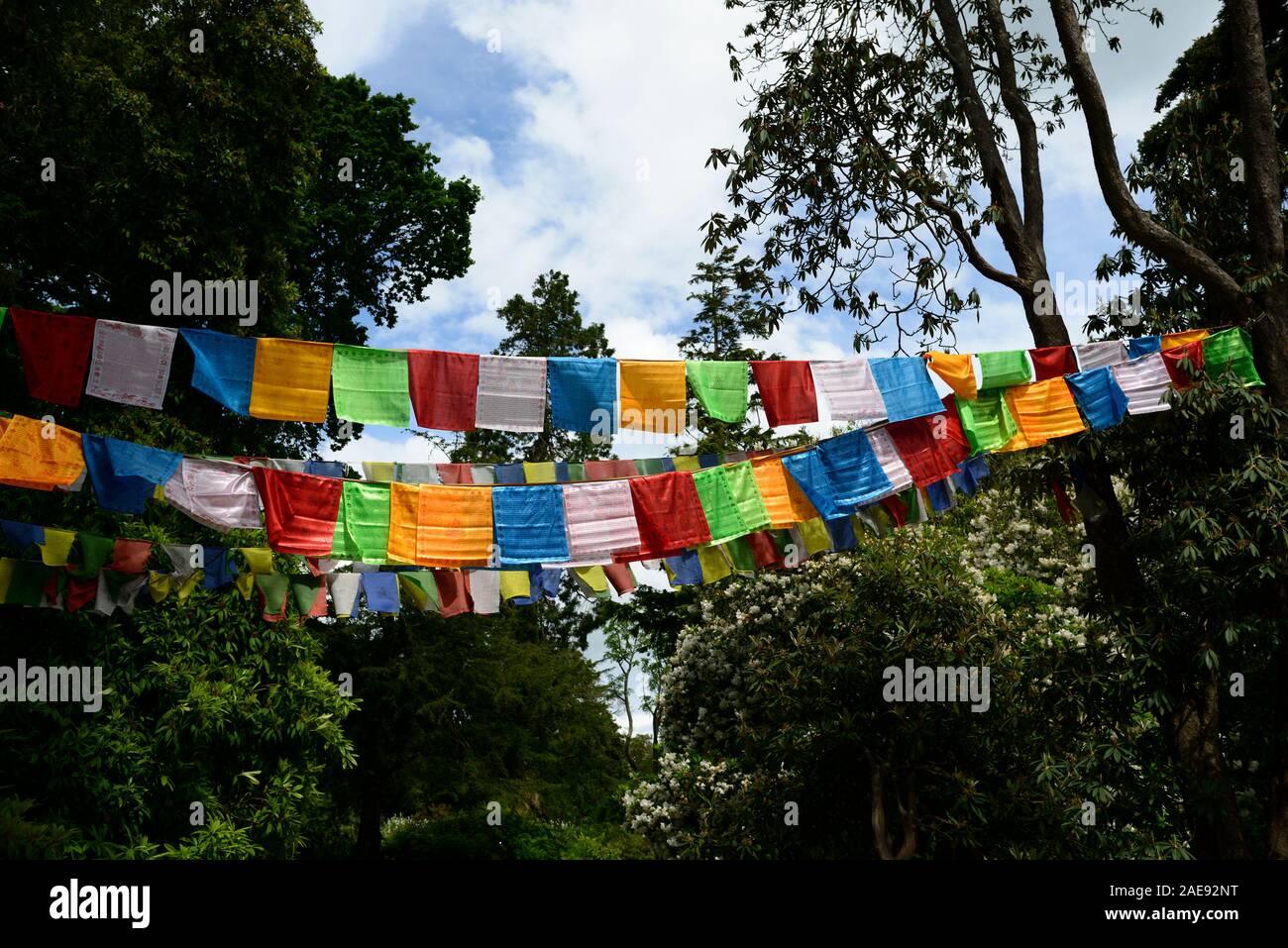 Tibetische Gebetsfahnen, Flagge, religiöses Symbol, Symbolik, symbolische, Garten, Gärten, Frieden, friedlich, RM Floral Stockfoto