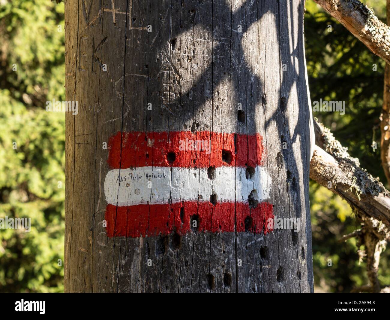 Wegweiser, toter Baum, rot-weiß-rot, Wanderweg, Aggenstein, Tannheimer Tal, Österreich Stockfoto