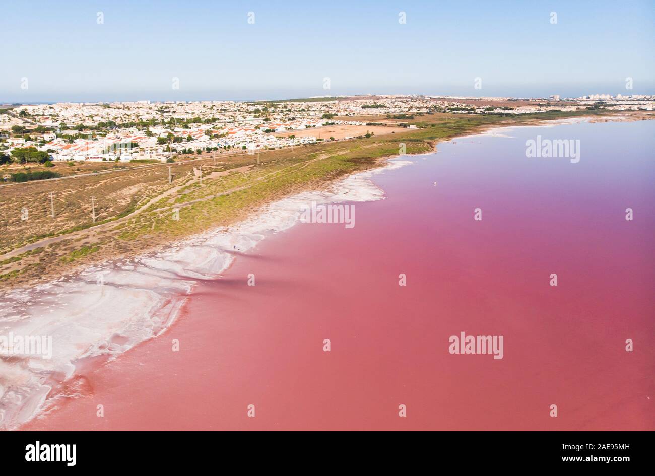 Schöne Antenne breite vibrant Summer View von Las Salinas de Torrevieja, die Rosa See von Torrevieja, rosa Salz Lagune in Torrevieja, Costa Blanca Stockfoto