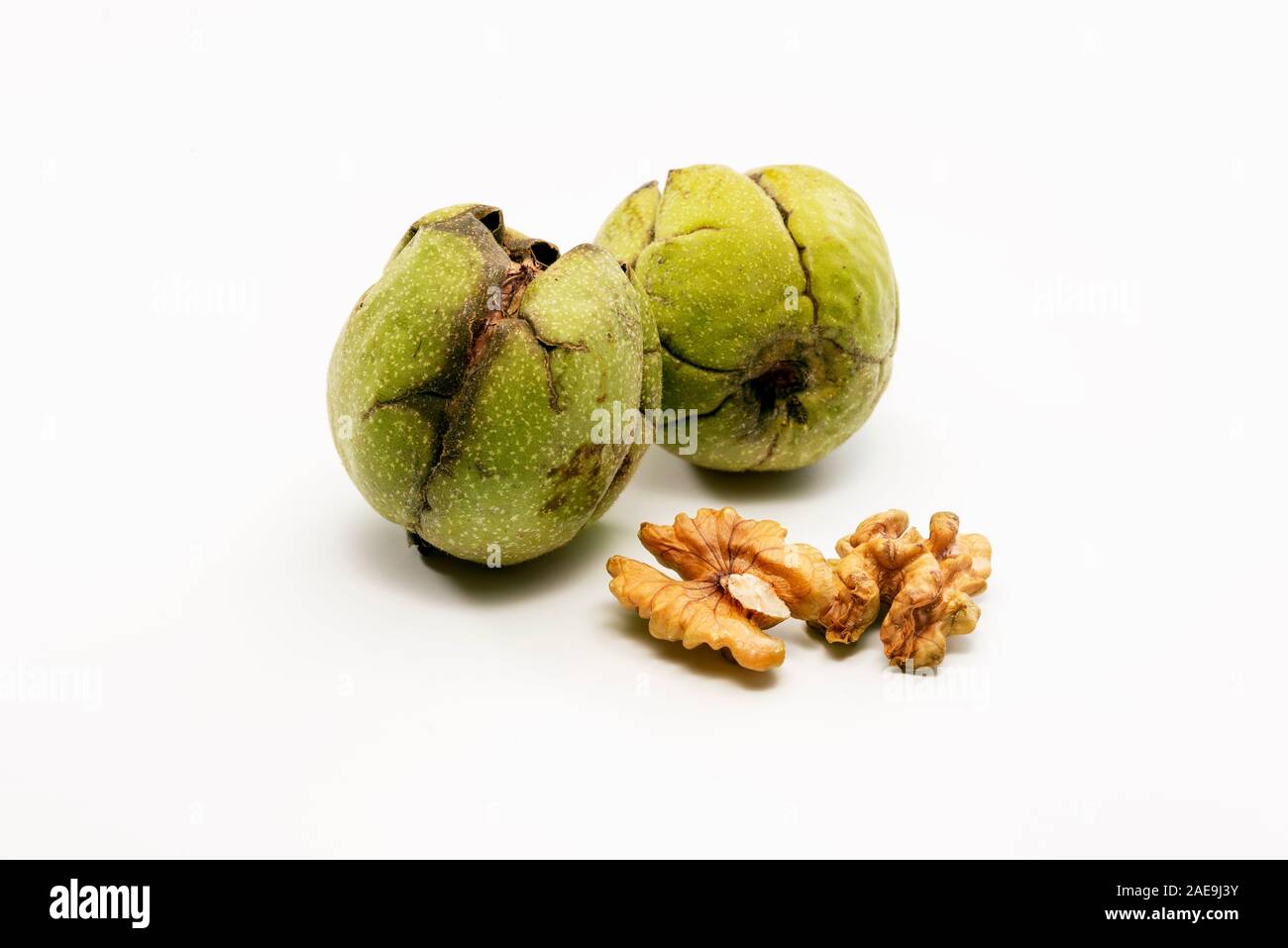 Nahaufnahme von zwei Rohmaterial wallnuts mit grüner Schale und zwei Stücke von Nussbaum in der Nähe zu Ihnen. Stockfoto