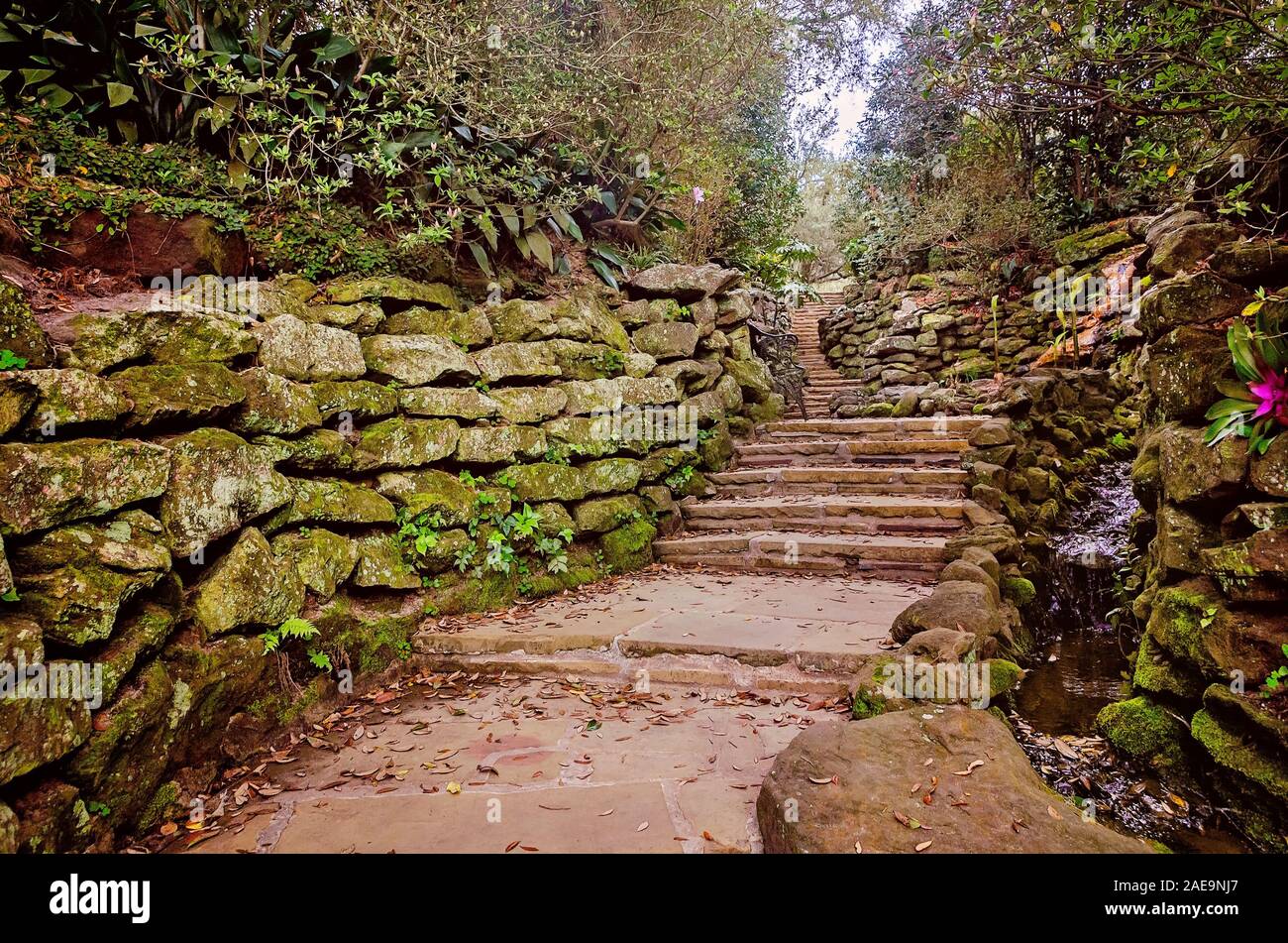 Flagstone Stufen führen Besucher durch die Steingarten an der Bellingrath Gardens, 24. Februar 2018, in Theodore, Alabama. Stockfoto