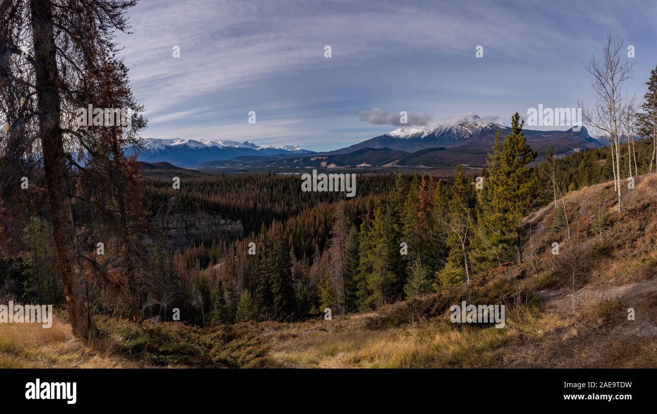 Jasper National Park in Kanada Stockfoto