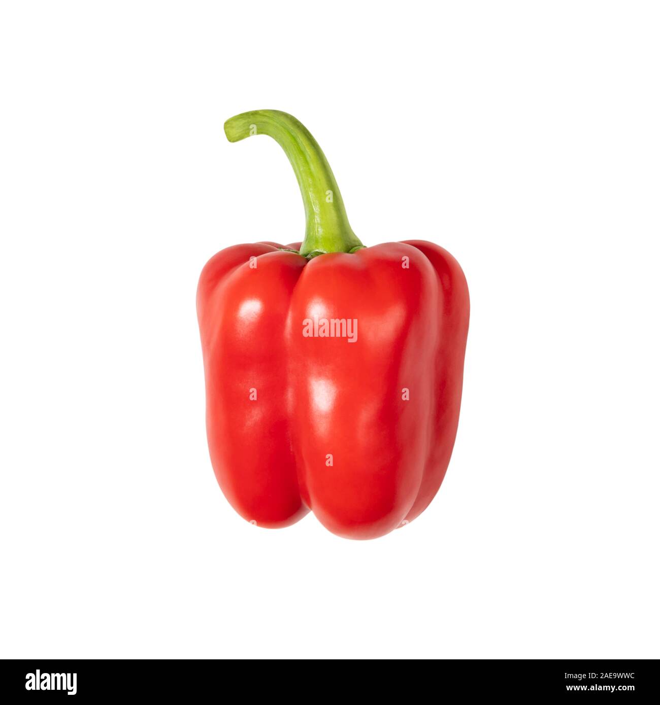 Red Paprika auf weißem Hintergrund. Frische reife Pfeffer mit grünem Stiel. Gesundes Essen. Stockfoto