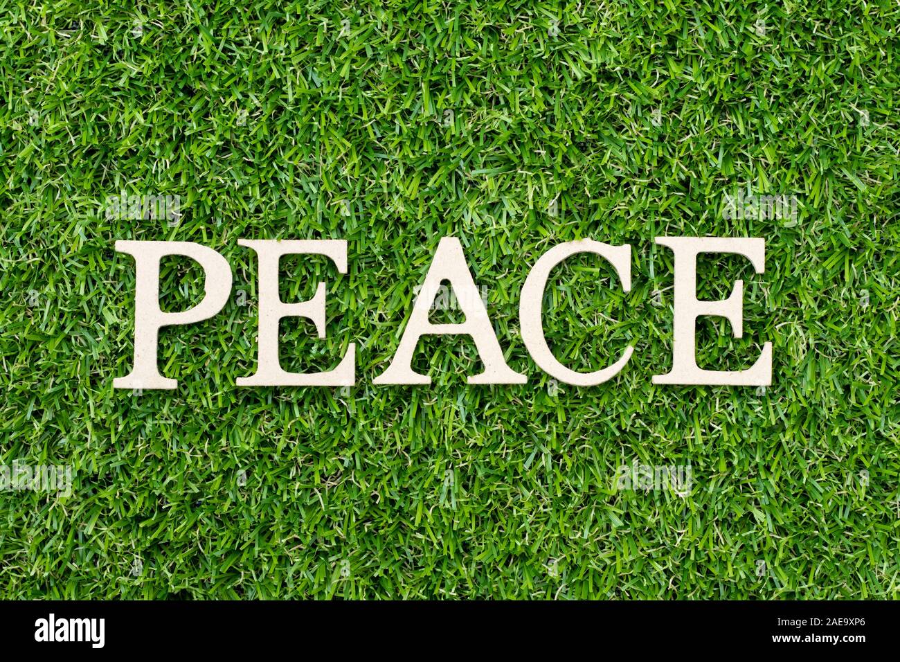 Holz Buchstaben im Wort Frieden auf grünem Gras Hintergrund Stockfoto