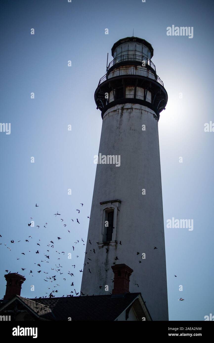 Hoher Leuchtturm mit Vogelscharen Stockfoto