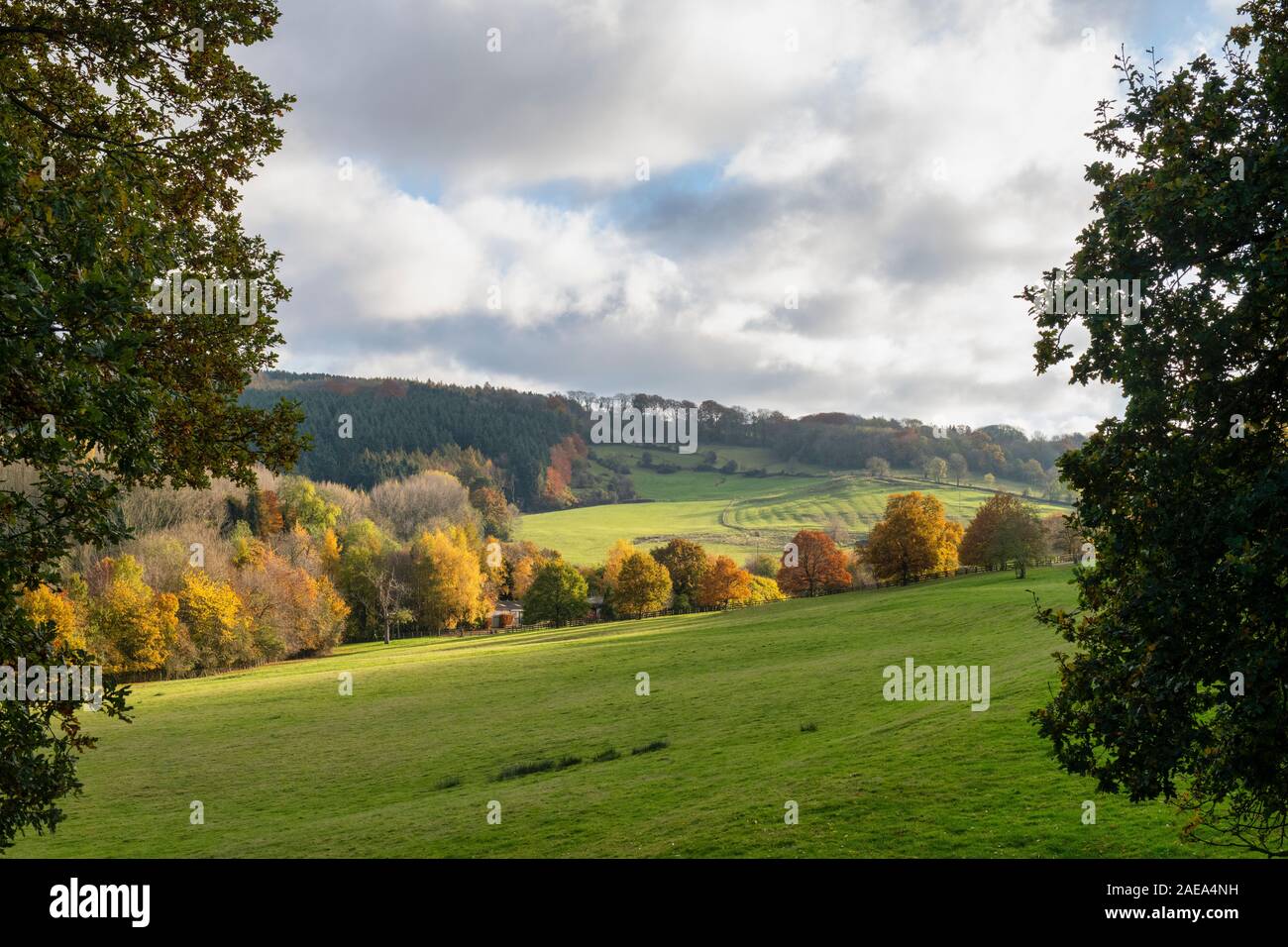 Cotswold Landschaft im Herbst in der Nähe von Broadway, Cotswolds, Worcestershire, England Stockfoto