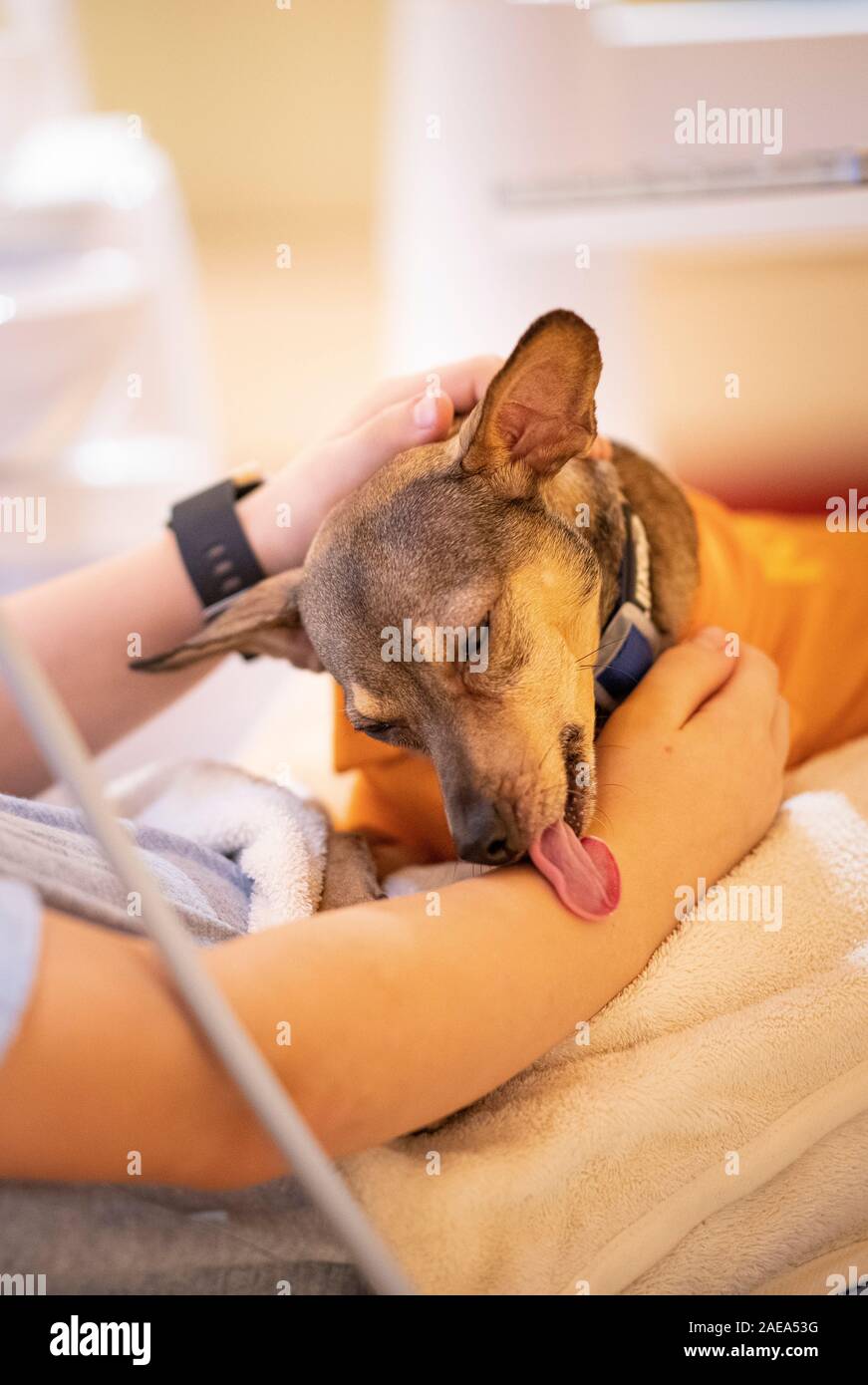 peppi stockfotos und bilder kaufen alamy