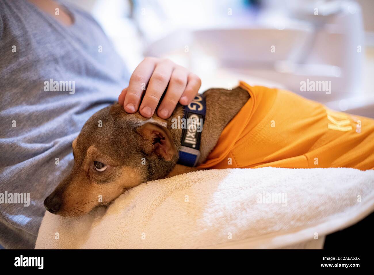 peppi stockfotos und bilder kaufen alamy