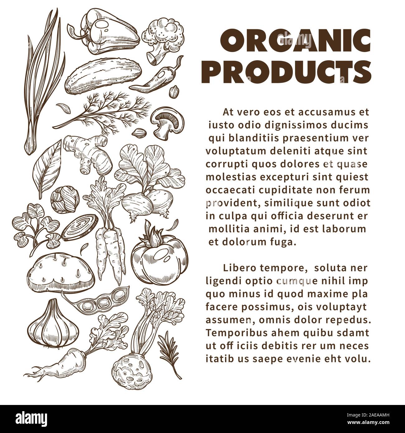 Organische Produkte Banner mit Hand gezeichnet Gemüse und Text Stock Vektor
