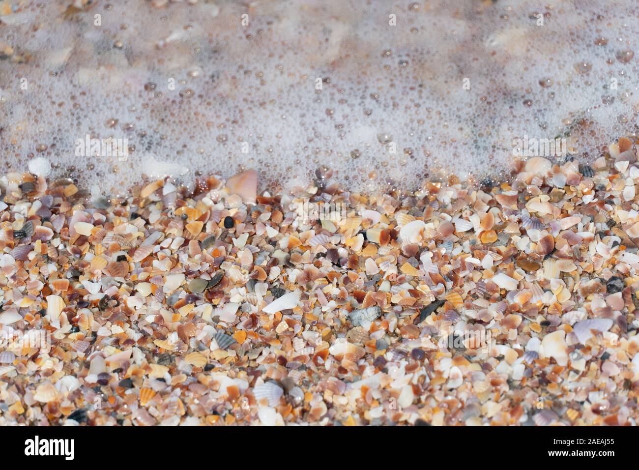 Kleine shell Sand und Schaum des Meeres oder ozeans Sommer Natur oder Ferienhäuser Hintergrund Stockfoto