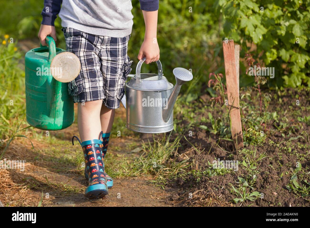 Kind Junge zwei große schwere Gießkannen mit Wasser. Kind Eltern helfen im Garten. Bewässerung von Pflanzen im Gemüsegarten. Sommer activiti Stockfoto