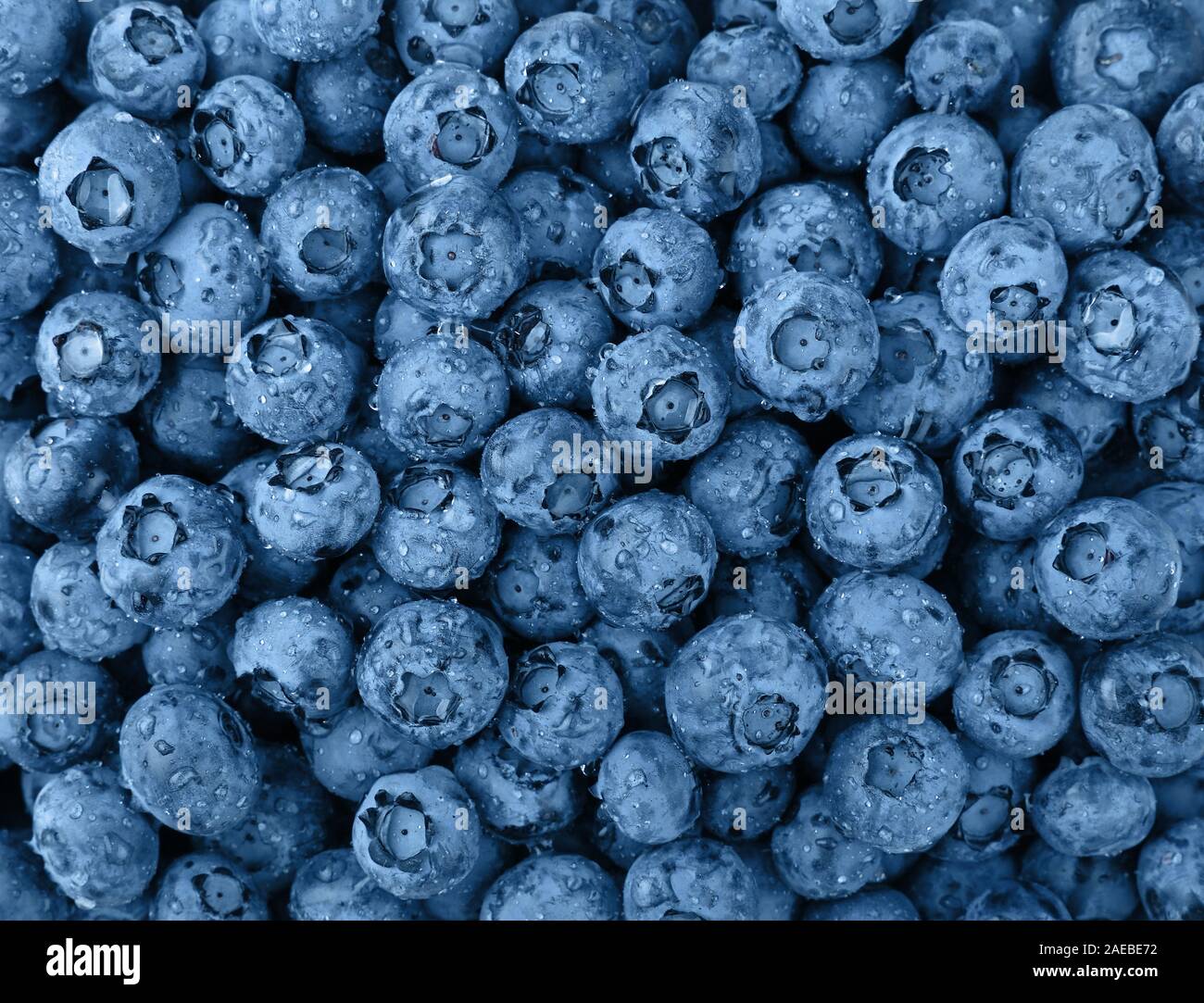 Nahaufnahme Hintergrund Muster der blau getönten frisch gewaschen Nasse blueberry Beeren mit Wassertropfen, Erhöhte Ansicht von oben, direkt über Stockfoto
