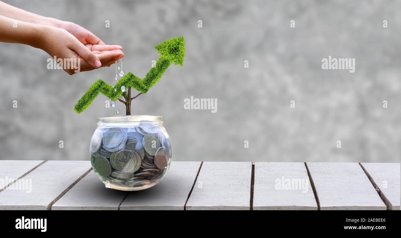 Wachstum. Der Baum wächst in eine Form, nach oben gerichtet sein. Die Konzepte der finanziellen Wachstum. Stockfoto