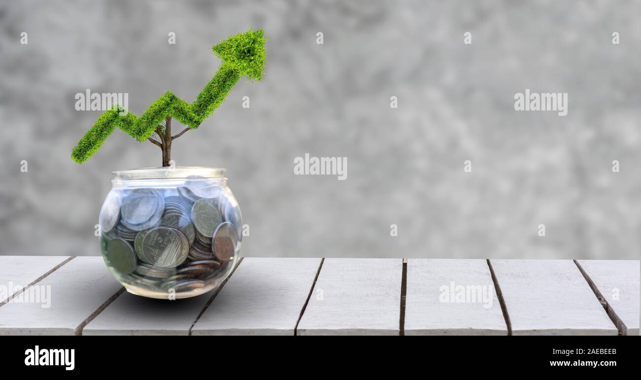 Wachstum. Der Baum wächst in eine Form, nach oben gerichtet sein. Die Konzepte der finanziellen Wachstum. Stockfoto