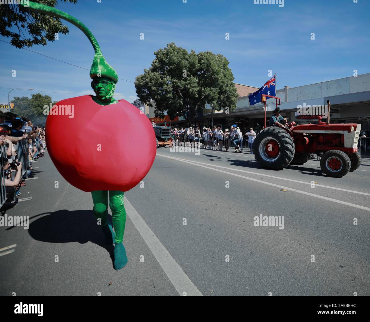 Junge, Australien. 07 Dez, 2019. Eine Straße parader ist in Kirsche  gekleidet - style Kostüm während der Feierlichkeiten zum 70. Nationalen  Cherry Festival in der Stadt Junge in der nähe von Canberra,