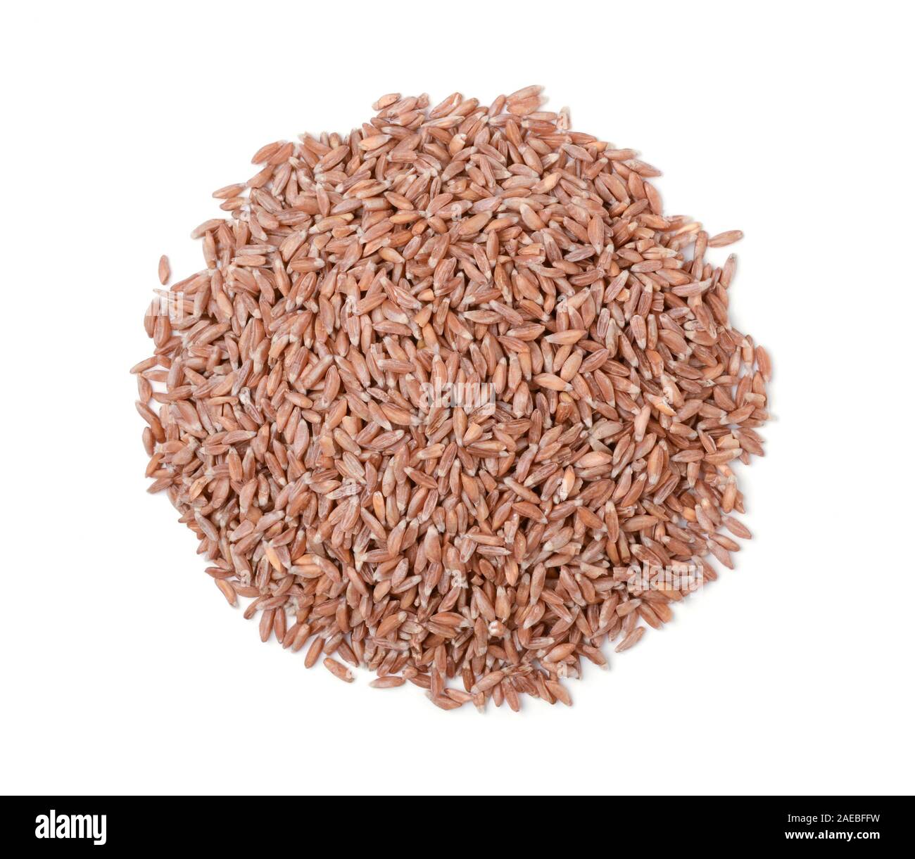 Stapel von Weizen (Spelta) auf einem weißen Hintergrund. Ansicht von oben. Stockfoto
