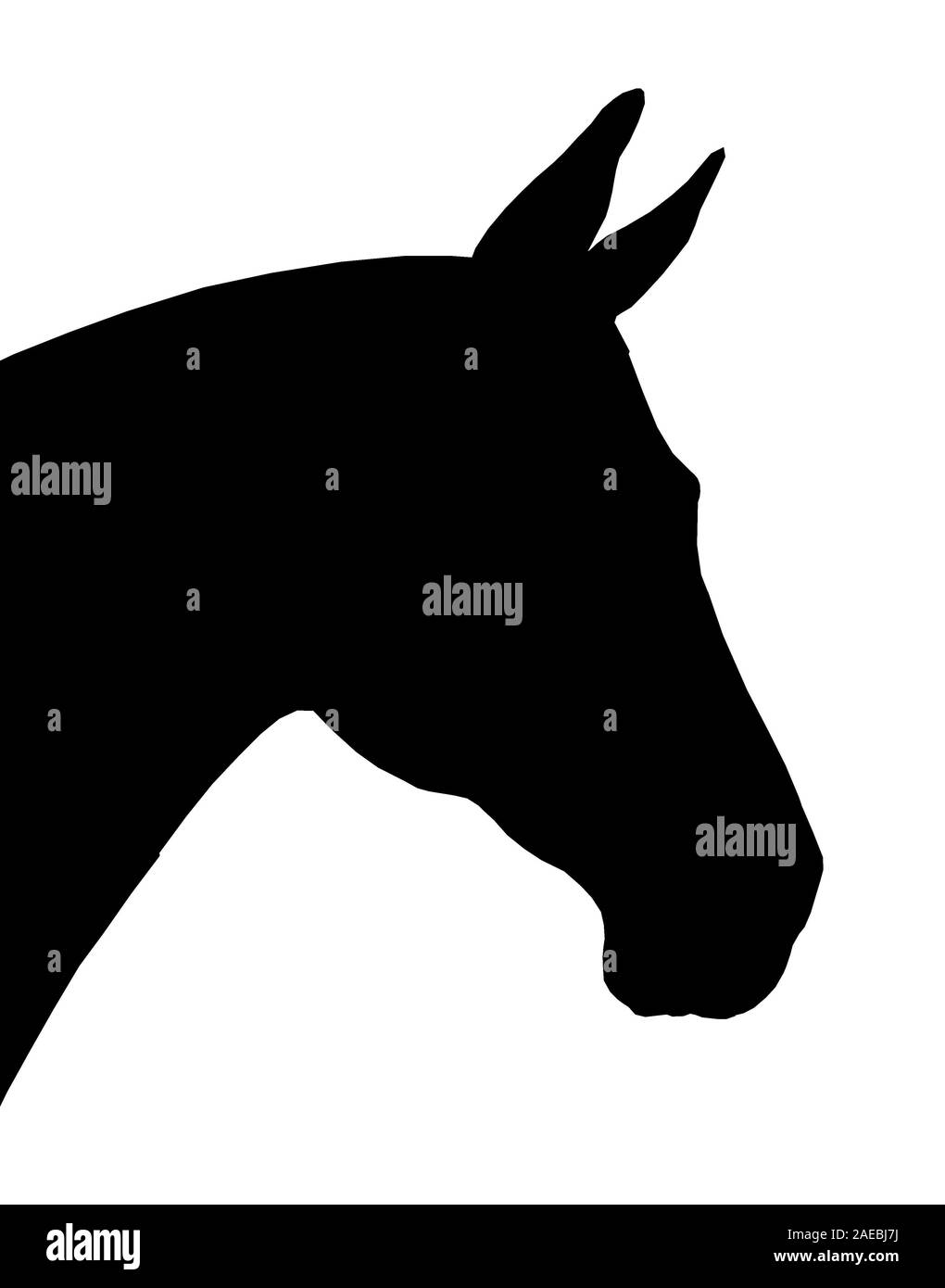 Schönes Pferd. Silhouette Porträt eines Pferdes. Equine Zeichnung. Stockfoto