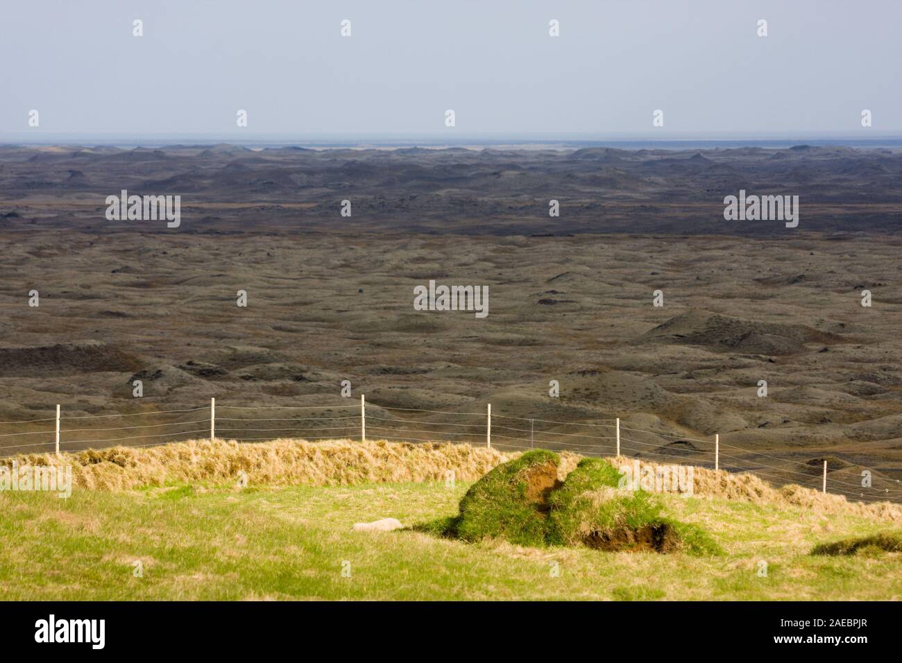 Blick über den düsteren alten Eldhraun Lavafelder bewachsen mit Moos im Süden von Island in der Nähe von Kirkjubaejarklaustur. Stockfoto