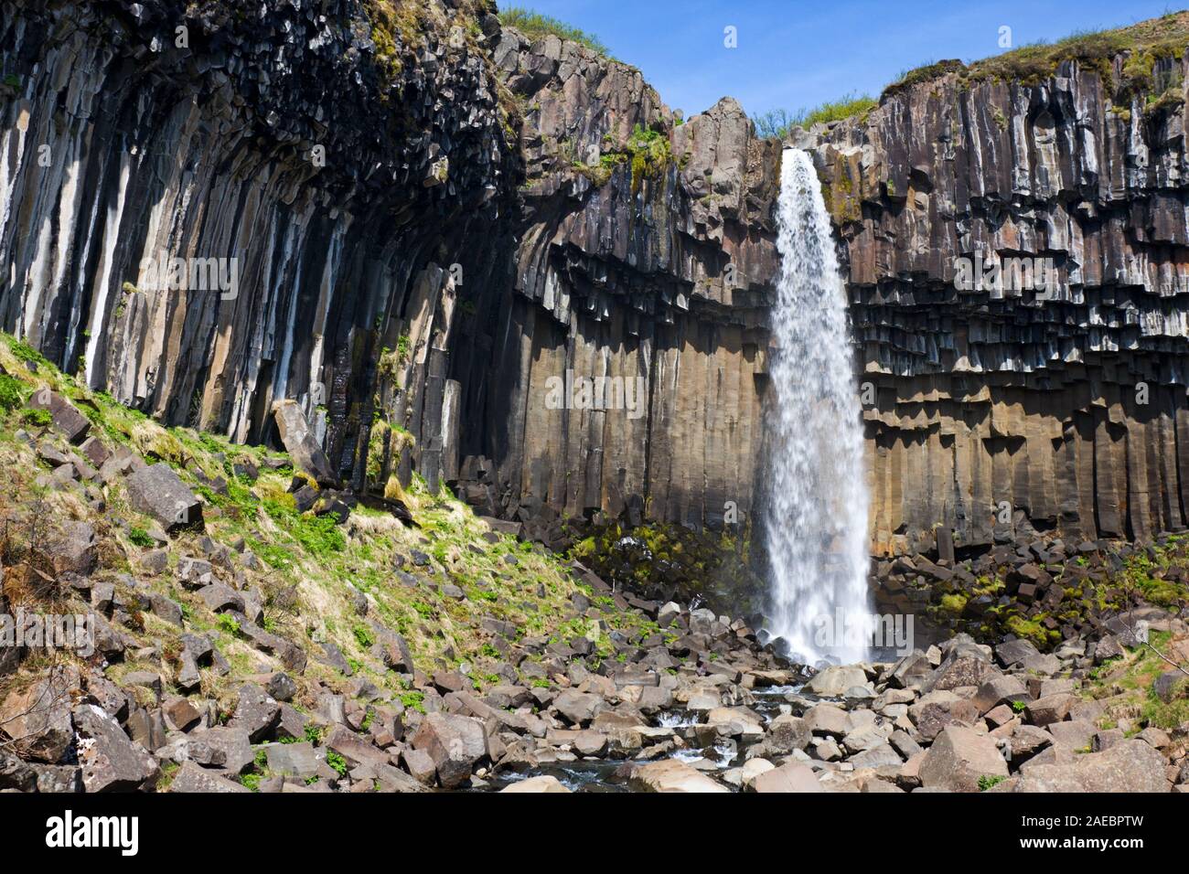 Die bekanntesten und schönsten Svartifoss in Island, umgeben von Basaltsäulen. Stockfoto