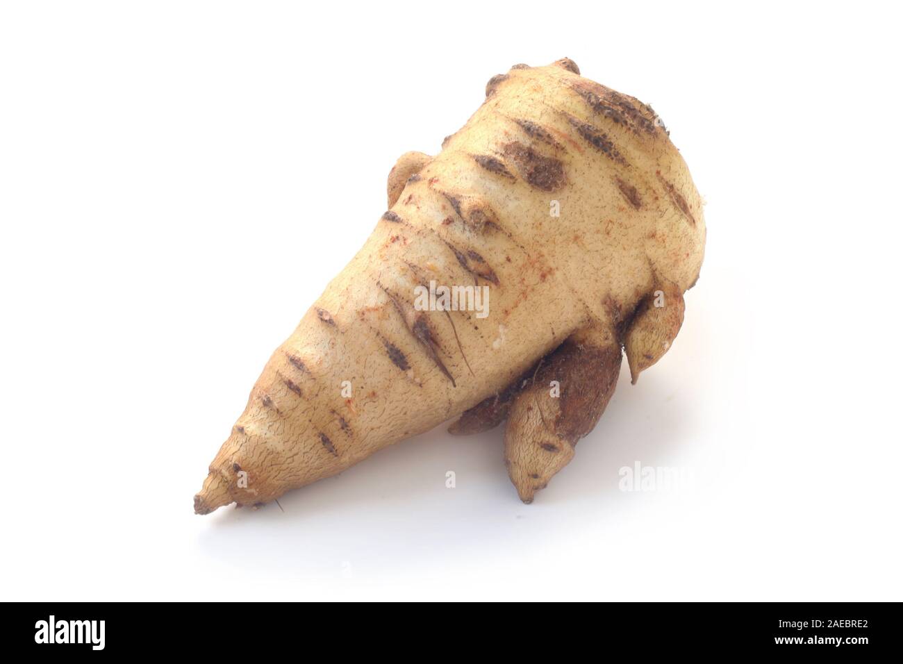Kerbel Lampe isoliert auf weißem Stockfoto