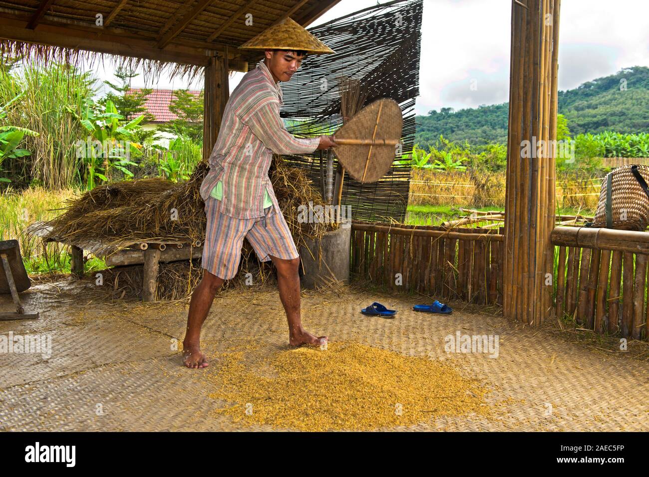 Betriebsinhaber, die Reis von der Spreu mit einem Ventilator, traditionelle Reis produzierenden Technologie, Wohn Land Ricew Farm, Luang Prabang, Laos Stockfoto