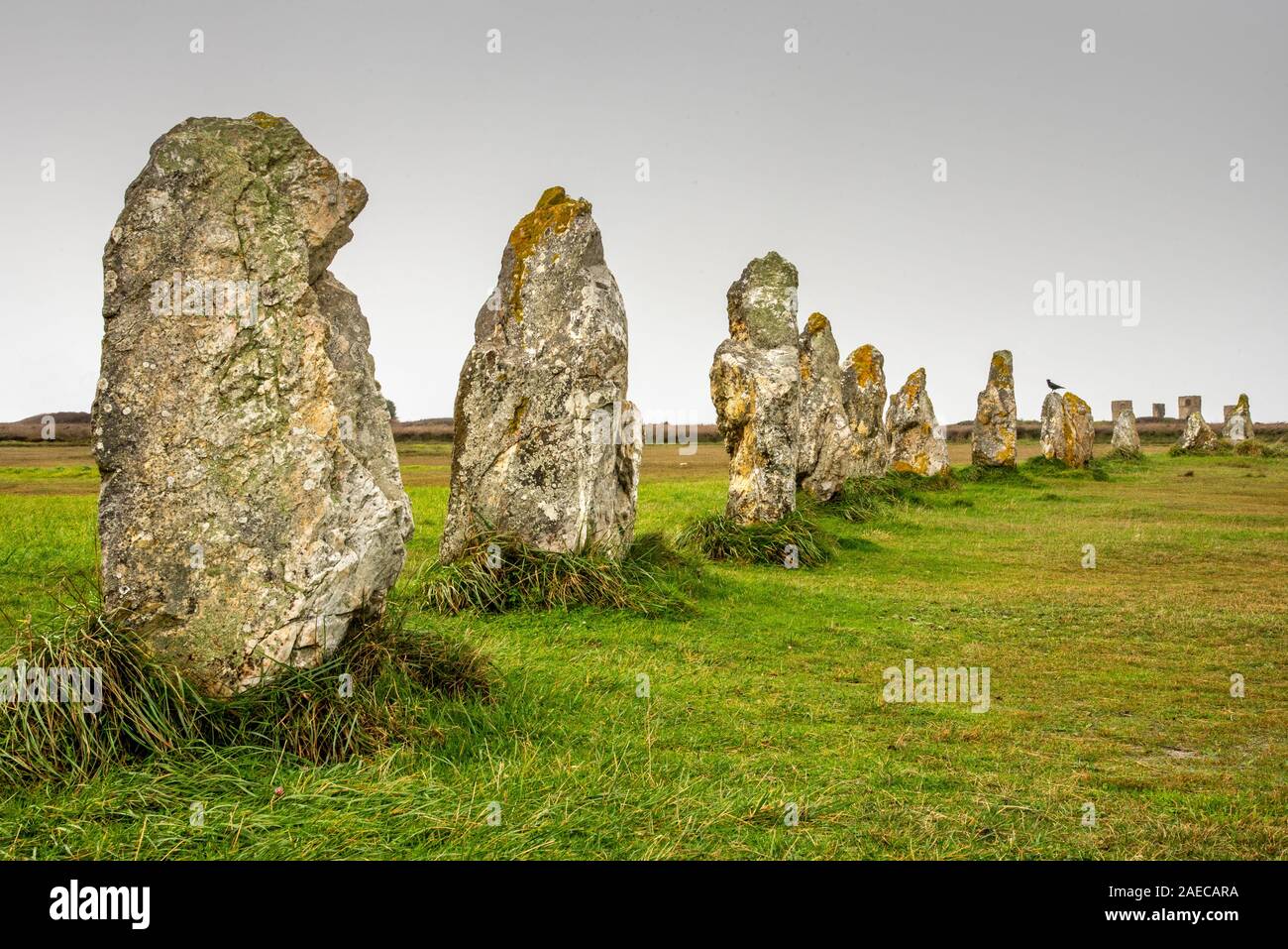 Standing Stones in der Bretagne. Ausrichtung der Menhire auf der grünen Wiese und unter einem grauen Himmel. Stockfoto