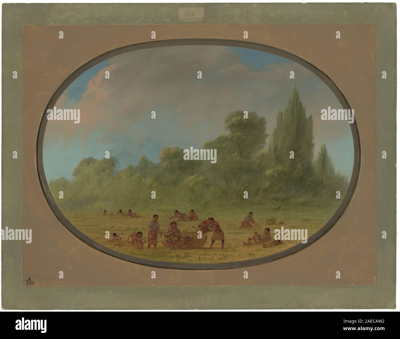 Ein Gemälde von George Catlin zwischen 1861 und 1869, das Caddoe-Indianer zeigt, die wilde Erdbeeren sammeln, Figuren, Körbe, Pflanzen, Landschaft, und das Leben der amerikanischen Ureinwohner Mitte des 19. Jahrhunderts. Stockfoto