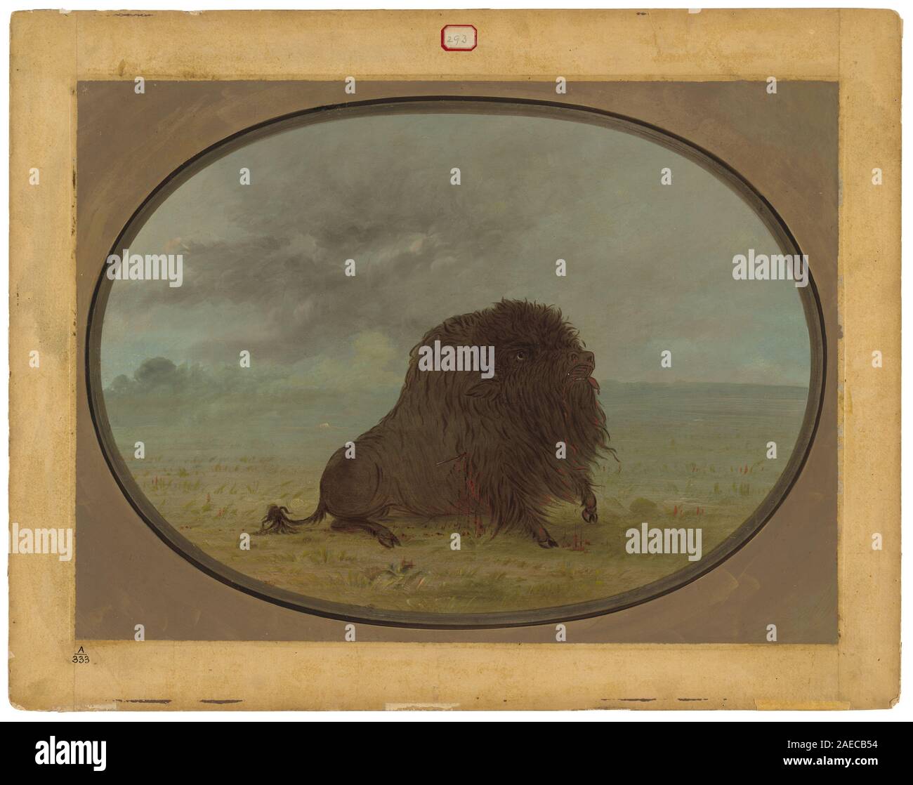 Ein Gemälde von George Catlin zwischen 1861 und 1869, das einen sterbenden Büffelbullen zeigt, das Tier, Haltung, Landschaft und die Darstellung der Wildtiere in Nordamerika aus der Mitte des 19. Jahrhunderts zeigt. Stockfoto