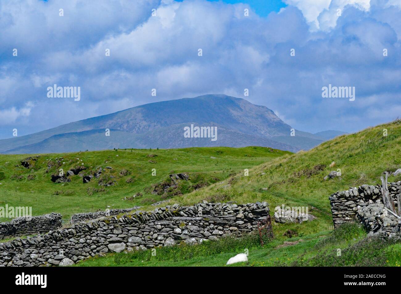 Snowdonia National Park, Wales, als aus einem schafstall in Harlech gesehen Stockfoto